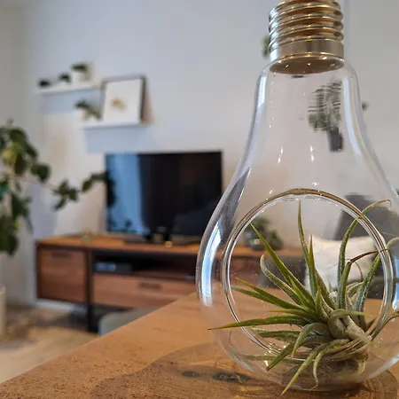 Daire Zur Stadtmauer