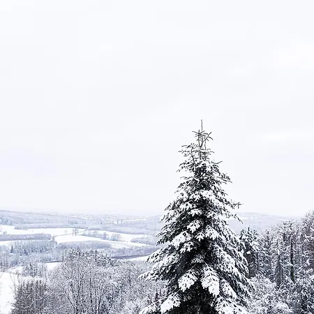 Zur Stadtmauer 루덴