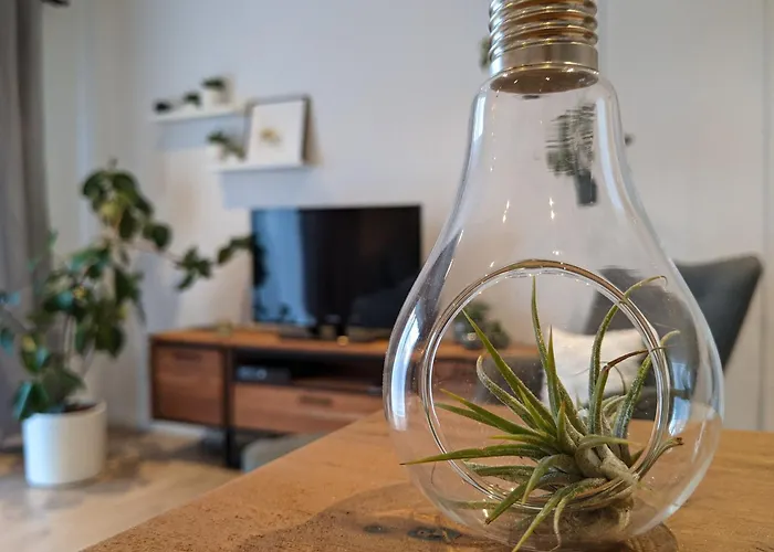 Apartment Zur Stadtmauer